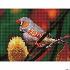 Discount 😀 Diamond Dotz Diamond Embroidery Facet Art Kit 12.2"X16.14"-Gouldian Finch with Frame 🌟
