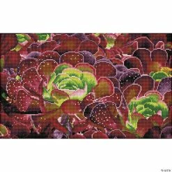 Best Sale 🥰 Diamond Dotz Diamond Embroidery Facet Art Kit 12.6"X20.47"-Succulents 🎉
