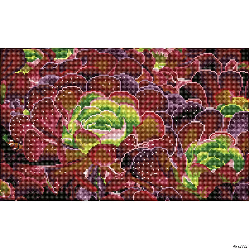 Best Sale ๐ฅฐ Diamond Dotz Diamond Embroidery Facet Art Kit 12.6"X20.47"-Succulents ๐