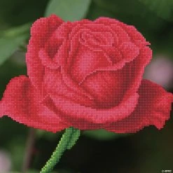 Cheap 🎉 Diamond Dotz Diamond Embroidery Facet Art Kit 12"X12"-Rose Bud with Frame 💯