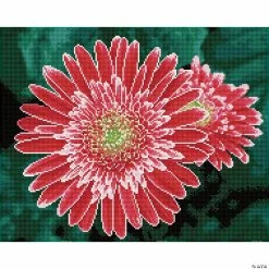 Buy 🎁 Diamond Dotz Diamond Embroidery Facet Art Kit 15.75"X19.69"-Pink Gerberas 🎉
