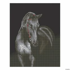 Top 10 ❤️ Diamond Dotz-Midnight Stallion 🌟