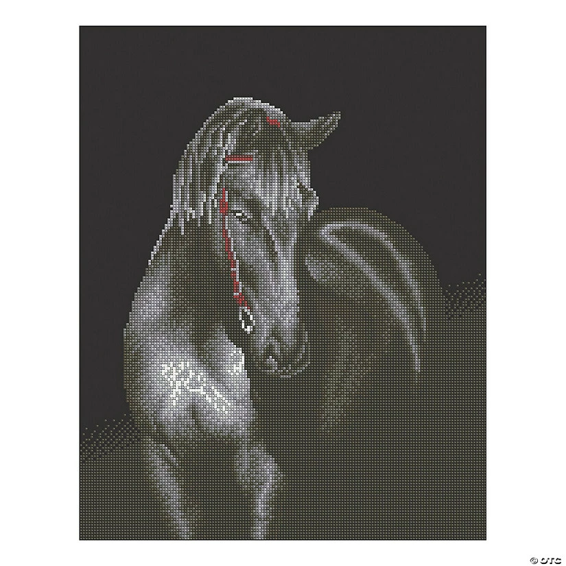 Top 10 โค๏ธ Diamond Dotz-Midnight Stallion ๐