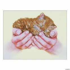 Top 10 ✨ Diamond Dotz-Precious Kitten ⭐