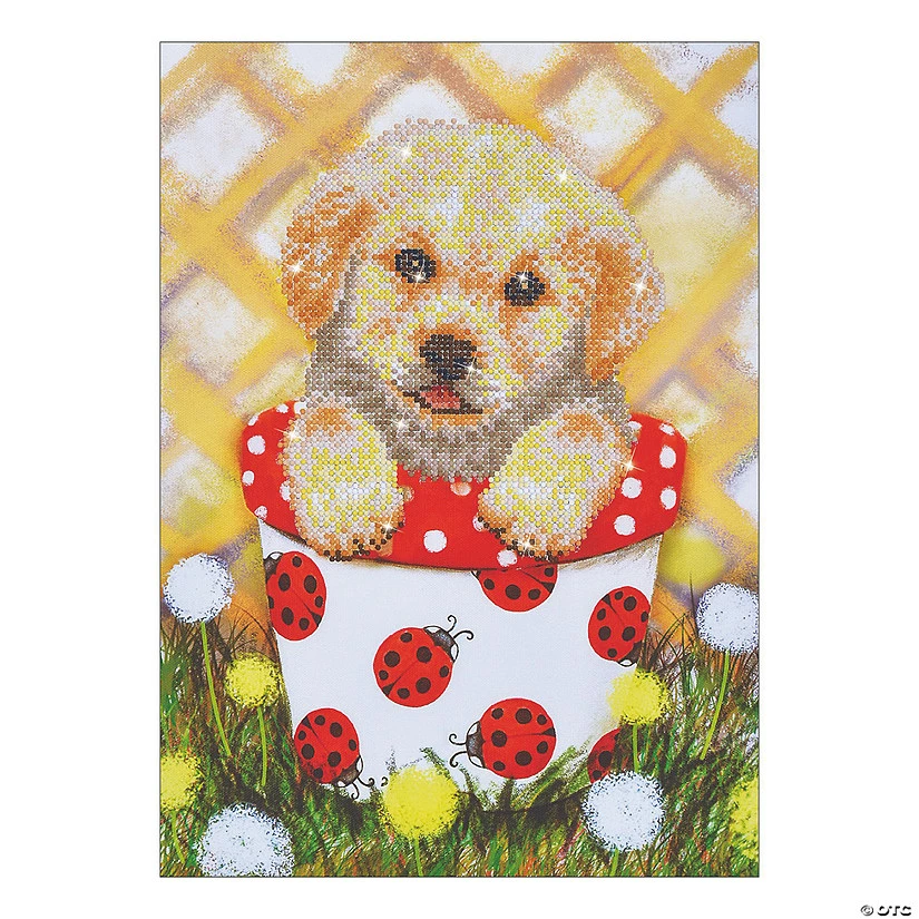 Cheapest ๐ Diamond Dotz-Pup in Pot ๐